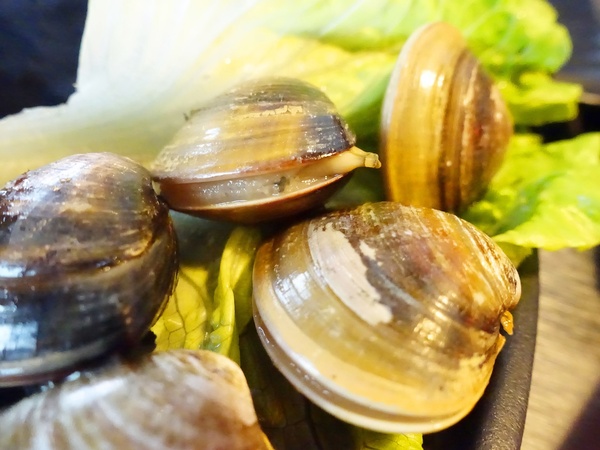 御品皇麻辣鴛鴦鍋：【捷運美食】御品皇麻辣鴛鴦鍋 海鮮拼盤就是鮮 還有滷煮/焗烤/串燒 多樣化菜色一次滿足你的挑剔的味蕾！