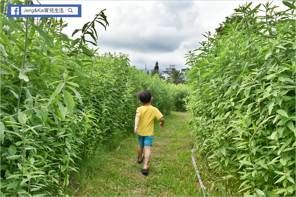 DSC_0440.png DSC_0440.png