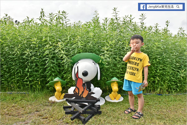 1DSC_0430.png 1DSC_0430.png