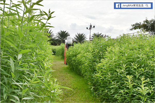 DSC_0468.png DSC_0468.png