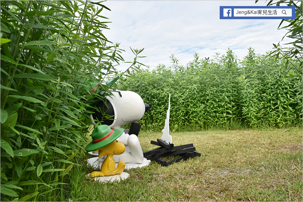 1DSC_0474.png 1DSC_0474.png