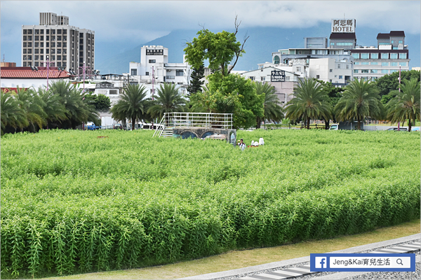 1DSC_0383.png 1DSC_0383.png