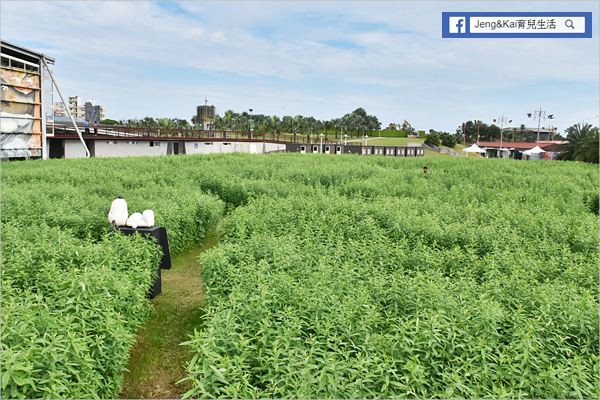 1DSC_0467.png 1DSC_0467.png