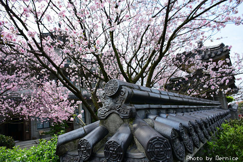 0409 1-花見東方寺10