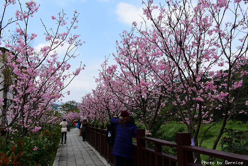 0309 樂康步道08