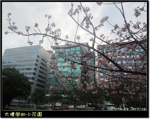 0216 3-仁寶公園05