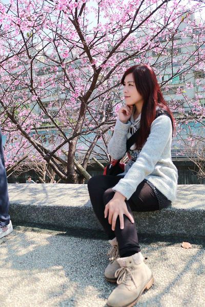 內湖樂活公園：【台北景點】東湖樂活公園/粉紅色隧道/寒櫻大盛開/賞櫻的熱搜景點