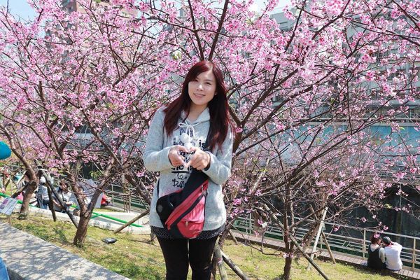 內湖樂活公園：【台北景點】東湖樂活公園/粉紅色隧道/寒櫻大盛開/賞櫻的熱搜景點