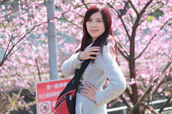 內湖樂活公園：【台北景點】東湖樂活公園/粉紅色隧道/寒櫻大盛開/賞櫻的熱搜景點