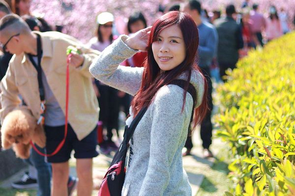 內湖樂活公園：【台北景點】東湖樂活公園/粉紅色隧道/寒櫻大盛開/賞櫻的熱搜景點