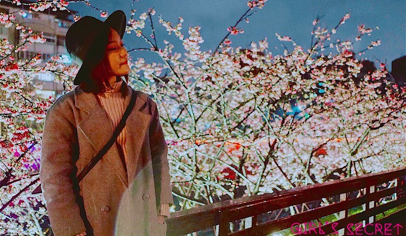 台北賞櫻20202 |內湖櫻花 。內湖夜櫻。東湖櫻花 | 粉嫩櫻花河道