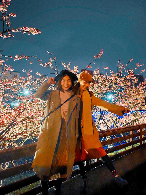   樂活公園IG打卡櫻花景點