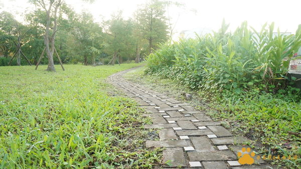 DSC02865.JPG DSC02865.JPG