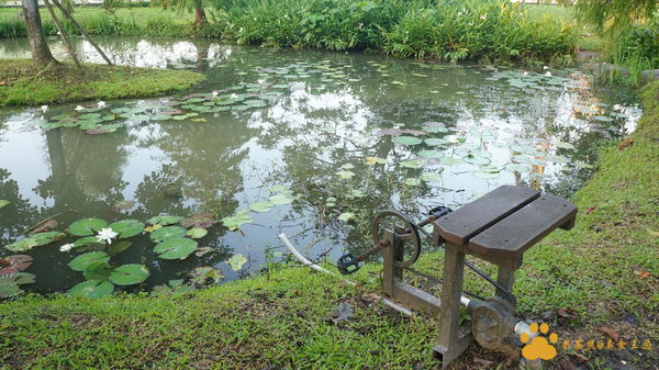 DSC02847.JPG DSC02847.JPG