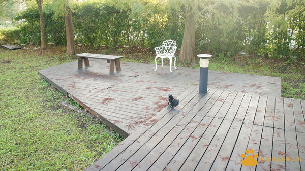 DSC02881.JPG DSC02881.JPG