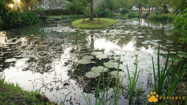 DSC02855.JPG DSC02855.JPG