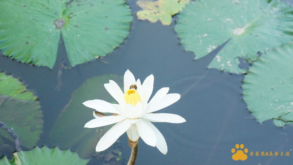 DSC02849.JPG DSC02849.JPG