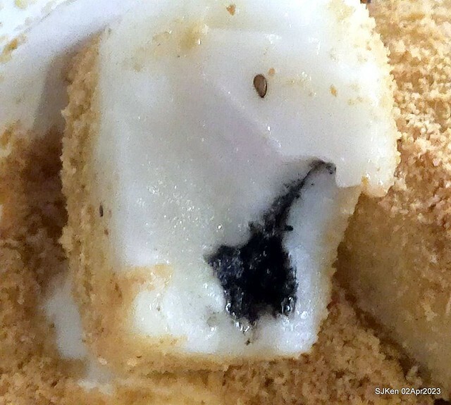 (新竹都城隍廟美食)「周家燒麻糬 」(Mochi with peanuts and sesame fillings), Hsinchu city, Apr 2, 2023, SJKen