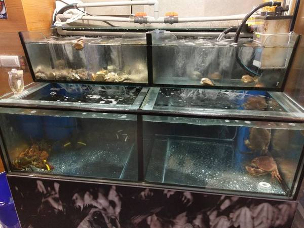 京丸水產 居酒屋：京丸水產 居酒屋-全台第一家24HR營業的居酒屋  新鮮海產活跳跳  日式的裝潢好吸引人