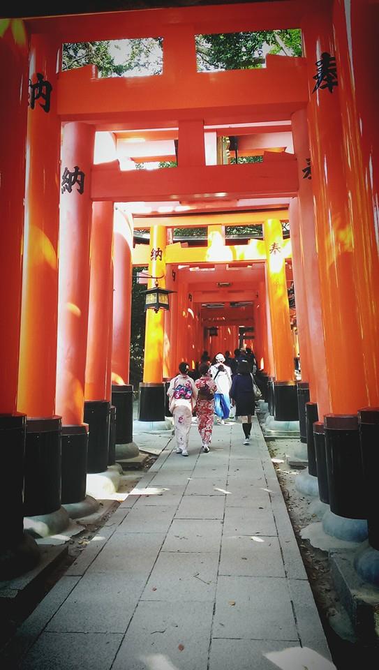 11137162_10204479284811596_5568939608023557681_n.jpg 11137162_10204479284811596_5568939608023557681_n.jpg