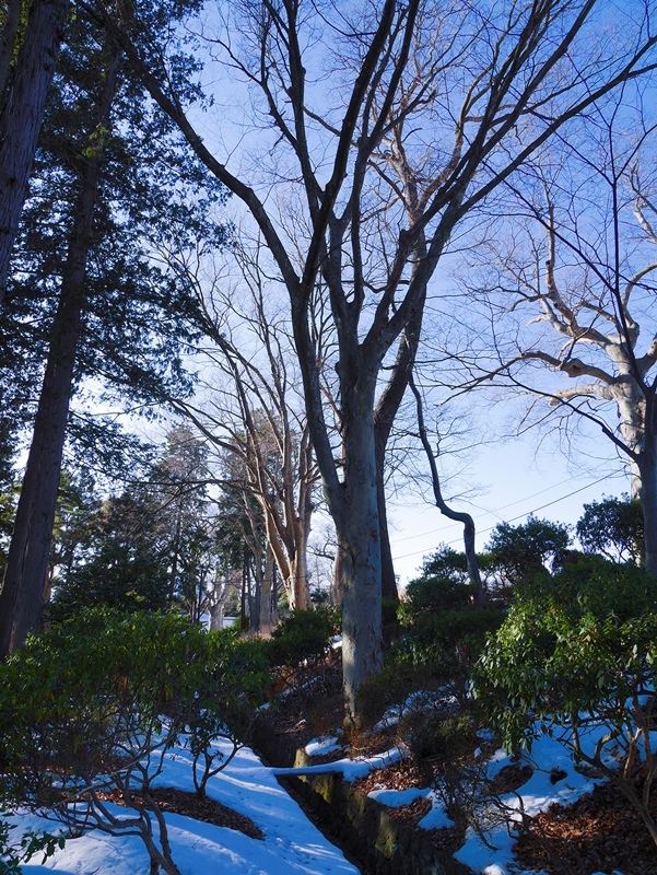 SelfieCity_20170226001301_org.jpg SelfieCity_20170226001301_org.jpg