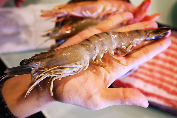 IMG_0468.JPG IMG_0468.JPG