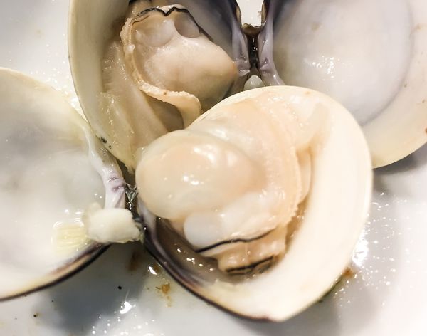 IMG_1057.JPG IMG_1057.JPG