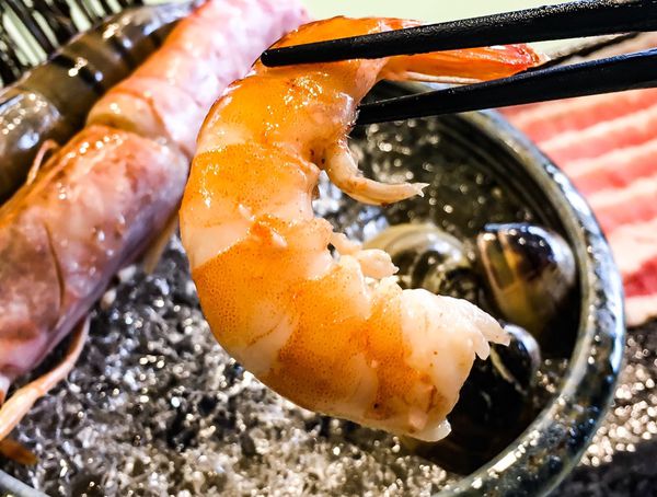 IMG_1055.JPG IMG_1055.JPG