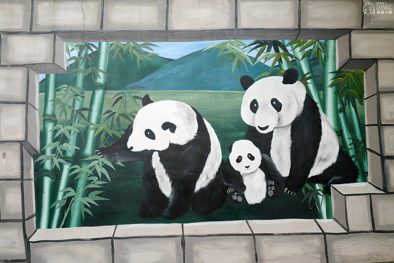 北港景點|北港公館里3D彩繪社區