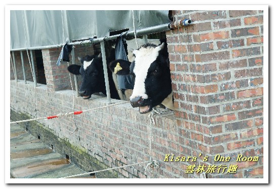 馬鳴山鎮安宮:雲林旅行趣.燈會順遊走透魅力二十鄉鎮.上──馬鳴山、千巧谷、楠仔社區鐵道藝術村