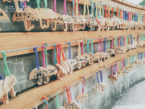 31690104633_3e985c3937_o