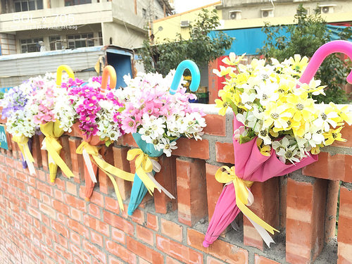 32349438082_830d862327_o