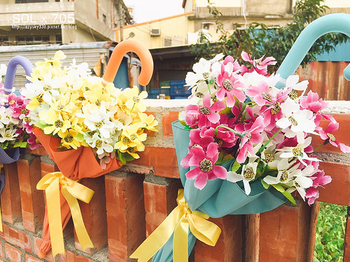 32349435672_d9a143feea_o