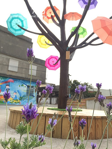 31690092623_674d9b58af_o