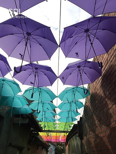 32379835401_5cecb011aa_o