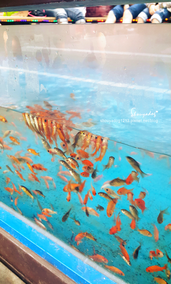 湯圍溝溫泉公園:【觀光景點】來給小魚吃吃你的腳皮 湯圍溝溫泉公園 in宜蘭