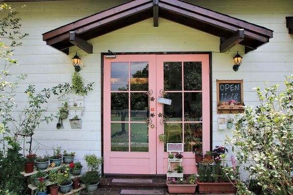 新埔普羅旺斯小木屋餐廳(原:新竹普羅旺斯玫瑰莊園餐廳): 【新竹新埔景點】普羅旺斯小木屋餐廳~密林裡的異國料理,情侶浪漫約會用餐好地點