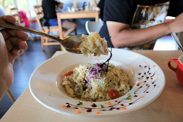 新埔普羅旺斯小木屋餐廳(原:新竹普羅旺斯玫瑰莊園餐廳): 【新竹新埔景點】普羅旺斯小木屋餐廳~密林裡的異國料理,情侶浪漫約會用餐好地點