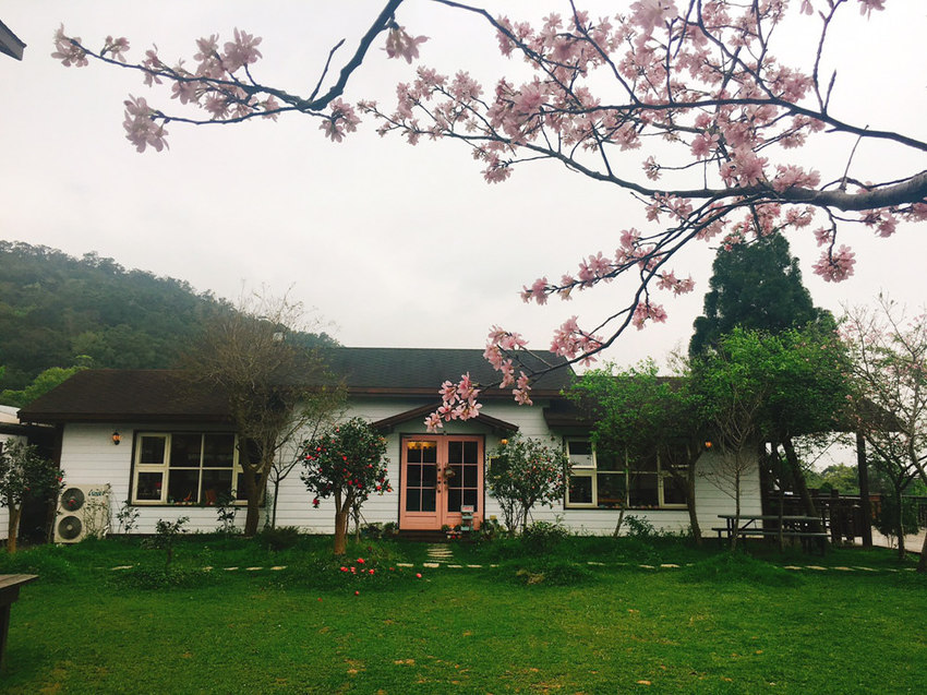 新埔普羅旺斯小木屋餐廳,超夢幻的雨滴蛋糕和草莓飲品,新竹賞櫻景點推薦!