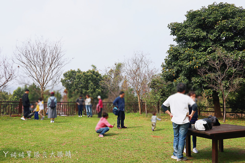 新埔普羅旺斯小木屋餐廳，超夢幻的雨滴蛋糕和草莓飲品，新竹賞櫻景點推薦！