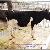 ◆【雲林旅遊景點懶人包】假期何處去？來雲林玩吧！在地人激推旅遊景點！§持續更新§(2017/02/22更新)