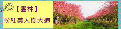 粉紅美人樹大道.jpg
