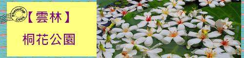 桐花公園.jpg