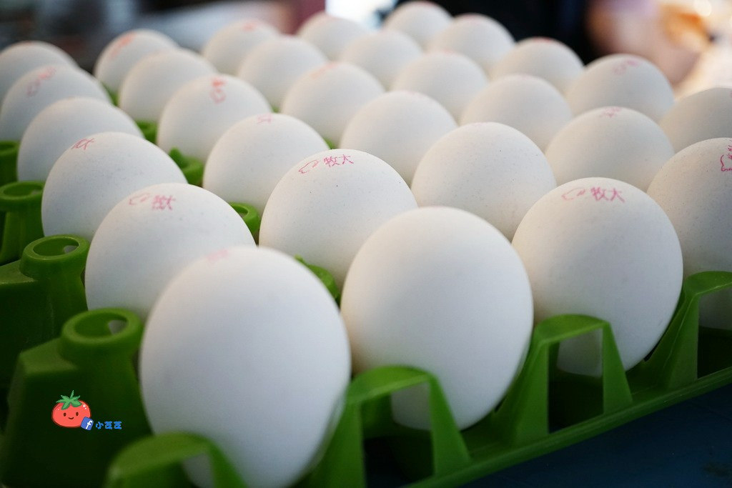 新莊早餐推薦 晨吉司漢