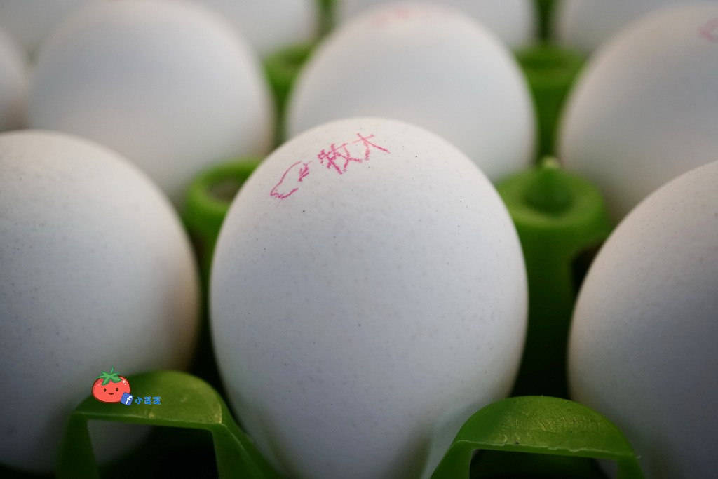 新莊早餐推薦 晨吉司漢