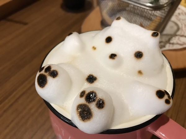 Good Partner 輕食館:高雄~Good Partner輕食館~可愛到破表的3D立體泡澡熊/泡澡貓咪拉花~超好吃的早午餐店~ Good Partner 輕食館:高雄~Good Partner輕食館~可愛到破表的3D立體泡澡熊/泡澡貓咪拉花~超好吃的早午餐店~