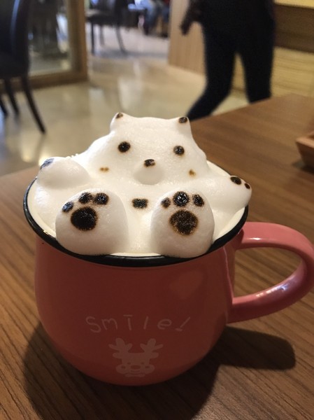 Good Partner 輕食館:高雄~Good Partner輕食館~可愛到破表的3D立體泡澡熊/泡澡貓咪拉花~超好吃的早午餐店~ Good Partner 輕食館:高雄~Good Partner輕食館~可愛到破表的3D立體泡澡熊/泡澡貓咪拉花~超好吃的早午餐店~