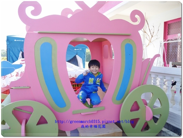 P9010509 (620x465).jpg