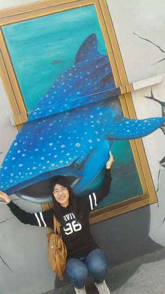 漫遊好美-立體彩繪村：嘉義布袋好美里超強3D彩繪  可以跟靜止的圖像互動  連大人都可以玩到不亦樂乎