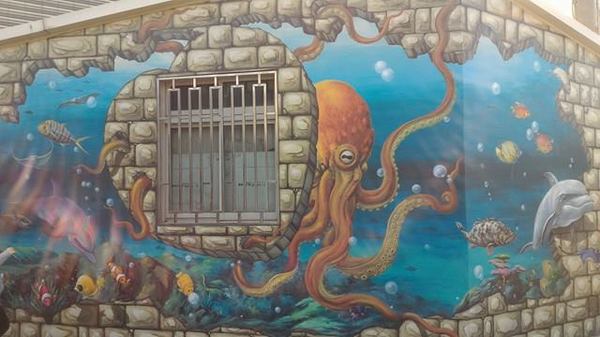 漫遊好美-立體彩繪村：嘉義布袋好美里超強3D彩繪  可以跟靜止的圖像互動  連大人都可以玩到不亦樂乎